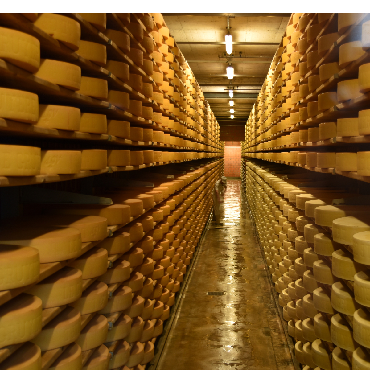 Você está visualizando atualmente O acordo Mercosul-UE reforça a proteção a indicações geográficas